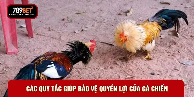 Luật Chơi Đá Gà 789BET - Cách Thức Phân Định Thắng Thua - WARON
