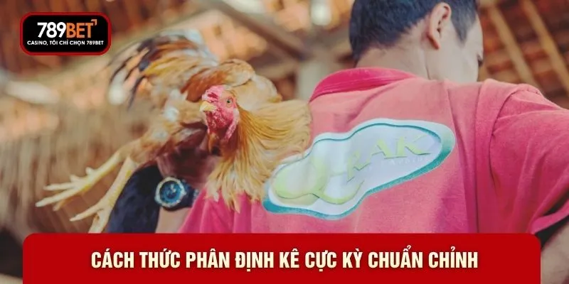 Đá Gà Cựa Sắt 789BET-  Những Trận Đấu Rực Lửa Đáng Xem - WARON