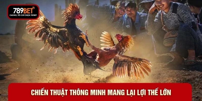Đá Gà Online - Top 5 Đấu Trường Đỉnh Cao Năm 2026 - WARON