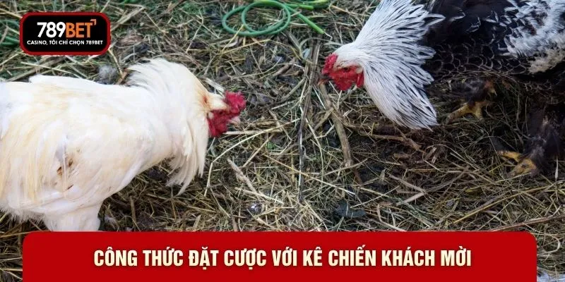 Đá Gà Cựa Sắt 789BET-  Những Trận Đấu Rực Lửa Đáng Xem - WARON