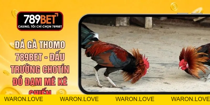 Đá gà - 789betcomdev - WARON
