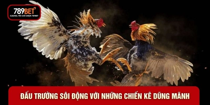 Đá Gà Online - Top 5 Đấu Trường Đỉnh Cao Năm 2026 - WARON
