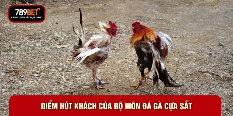 Đá Gà Cựa Sắt 789BET-  Những Trận Đấu Rực Lửa Đáng Xem - WARON