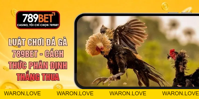 Đá gà - 789betcomdev - WARON