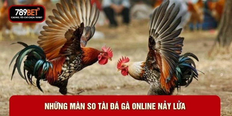 Đá Gà Online - Top 5 Đấu Trường Đỉnh Cao Năm 2026 - WARON